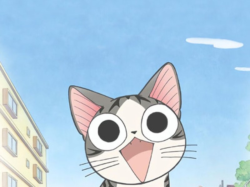 Chi's Sweet Home